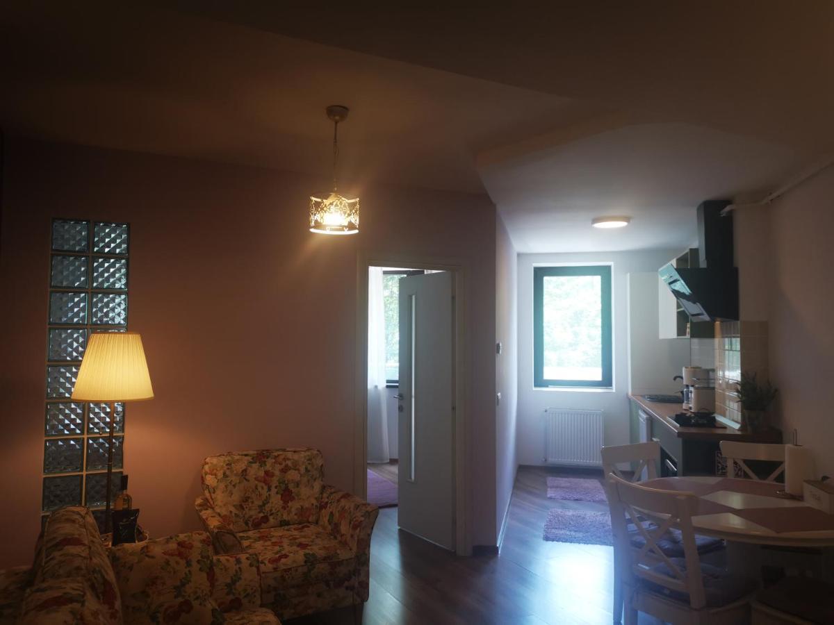 Apartment Dragoste Si Lavanda