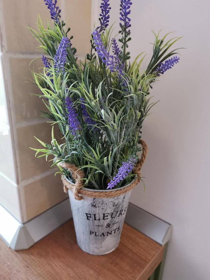 Dragoste Si Lavanda *