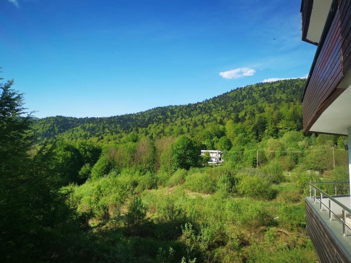 Dragoste Si Lavanda * Sinaia